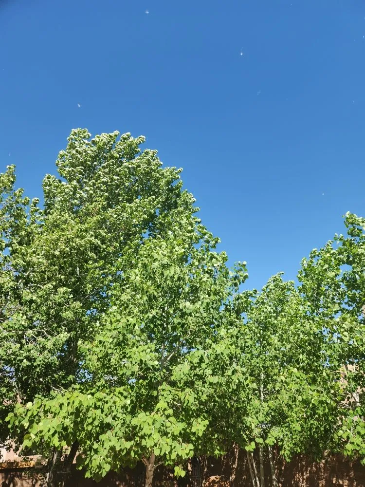 Slide of FM Expert Services