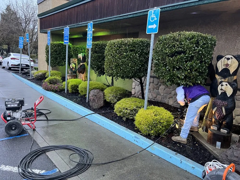 Slide of Focus Rooter and Plumbing