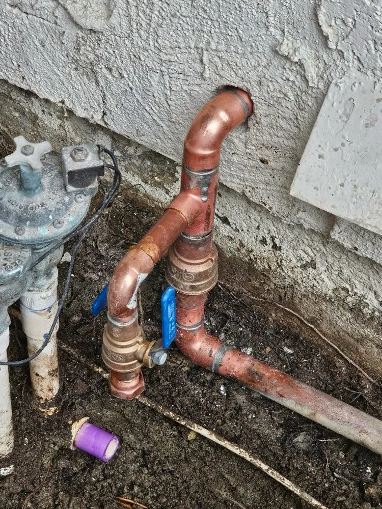 Slide of Fonso Plumber