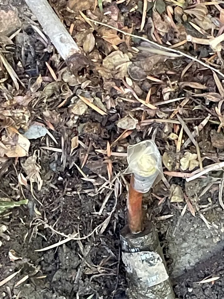 Affordable leak detection for homes in Los Angeles, CA by Ford's Plumbing and Heating