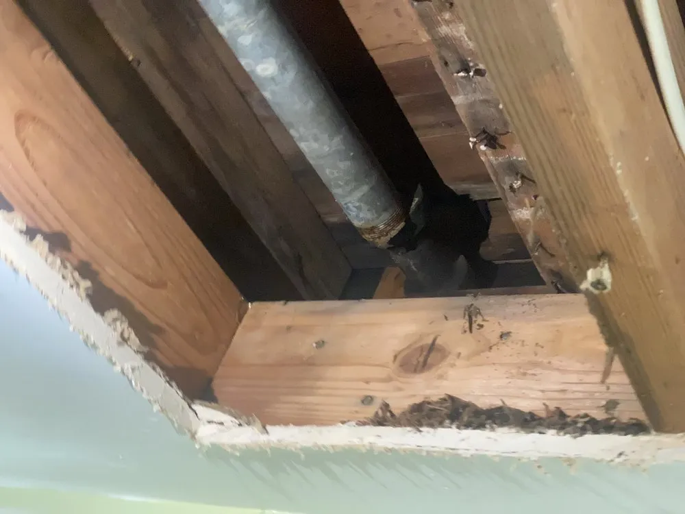 Professional emergency plumbing in Los Angeles, CA by Ford's Plumbing and Heating