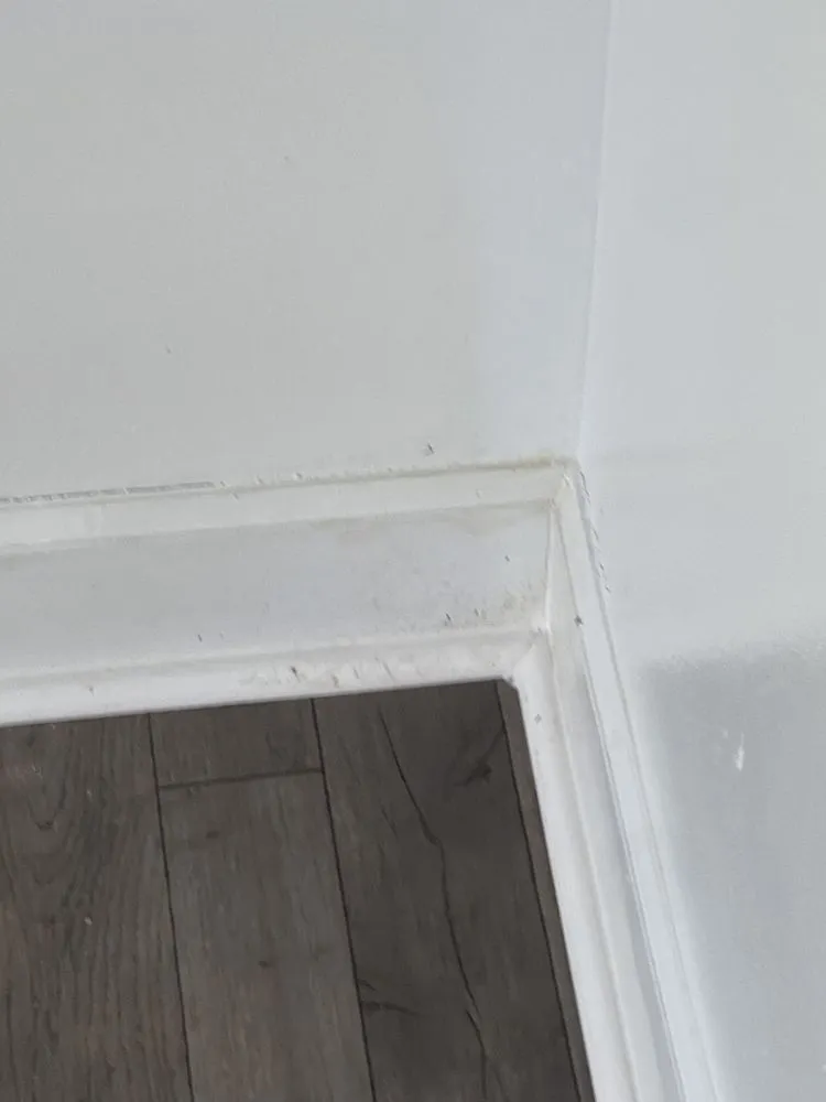 Slide of Foreign Brothers