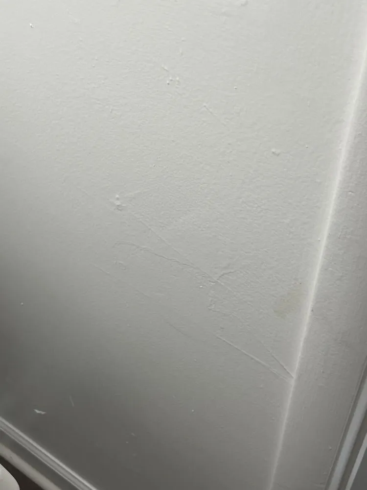 Affordable pipe repair in Tuscaloosa, AL by Foreign Brothers