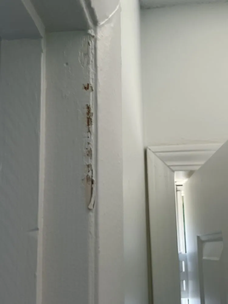 Reliable leak detection service in Tuscaloosa, AL - Foreign Brothers