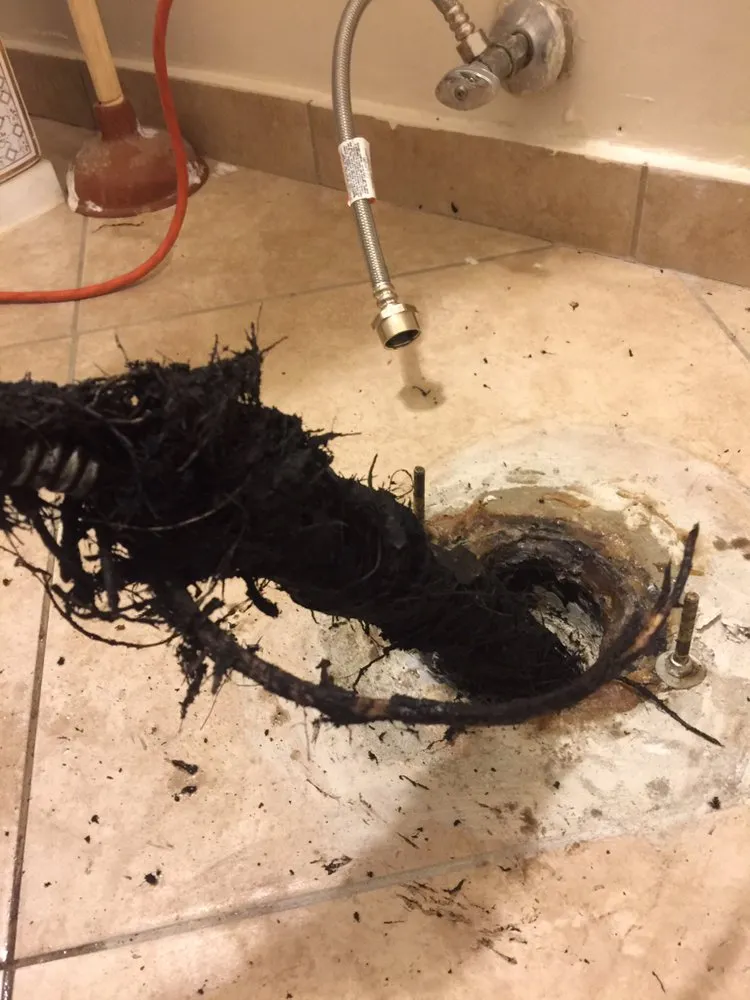 Slide of Forest Cove Plumbing