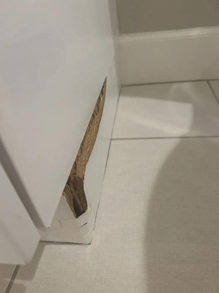 Slide of Formula 1 Management Group