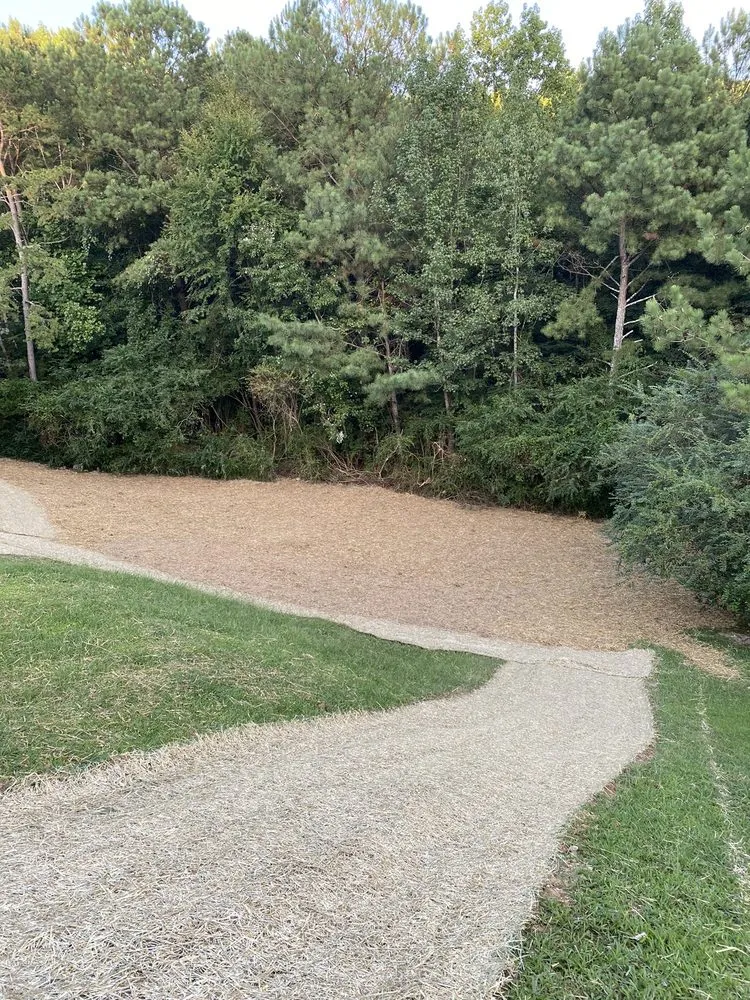 Slide of Forrest plumbing and septic service