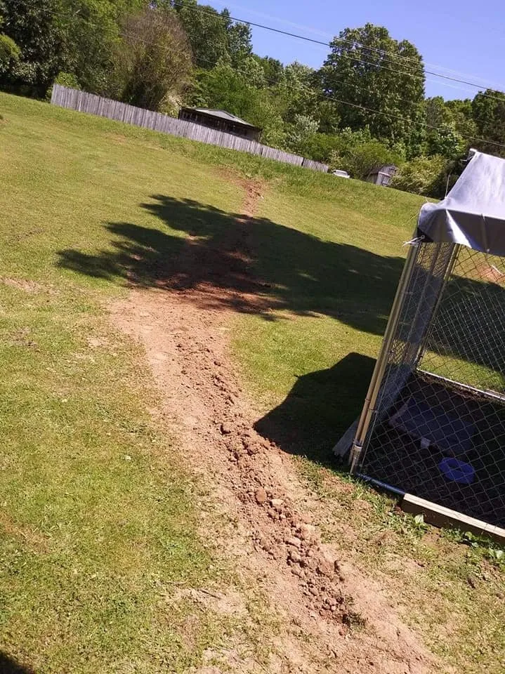 Reliable water heater service experts serving Summerville, GA - Forrest plumbing and septic service