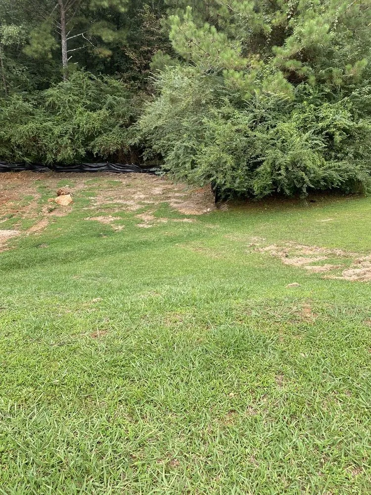 Slide of Forrest plumbing and septic service