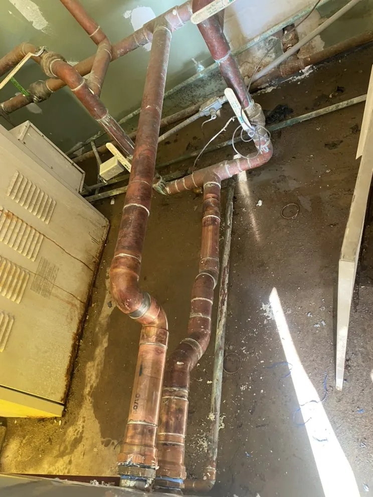 Slide of Fort Worth Rooters