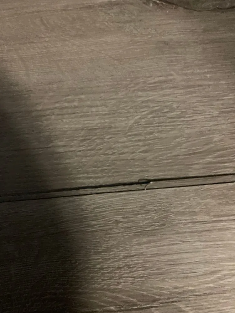 Slide of Fortis Pros