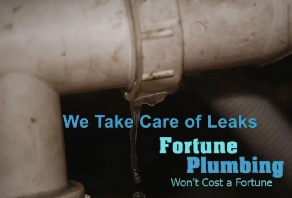 Slide of Fortune Plumbing
