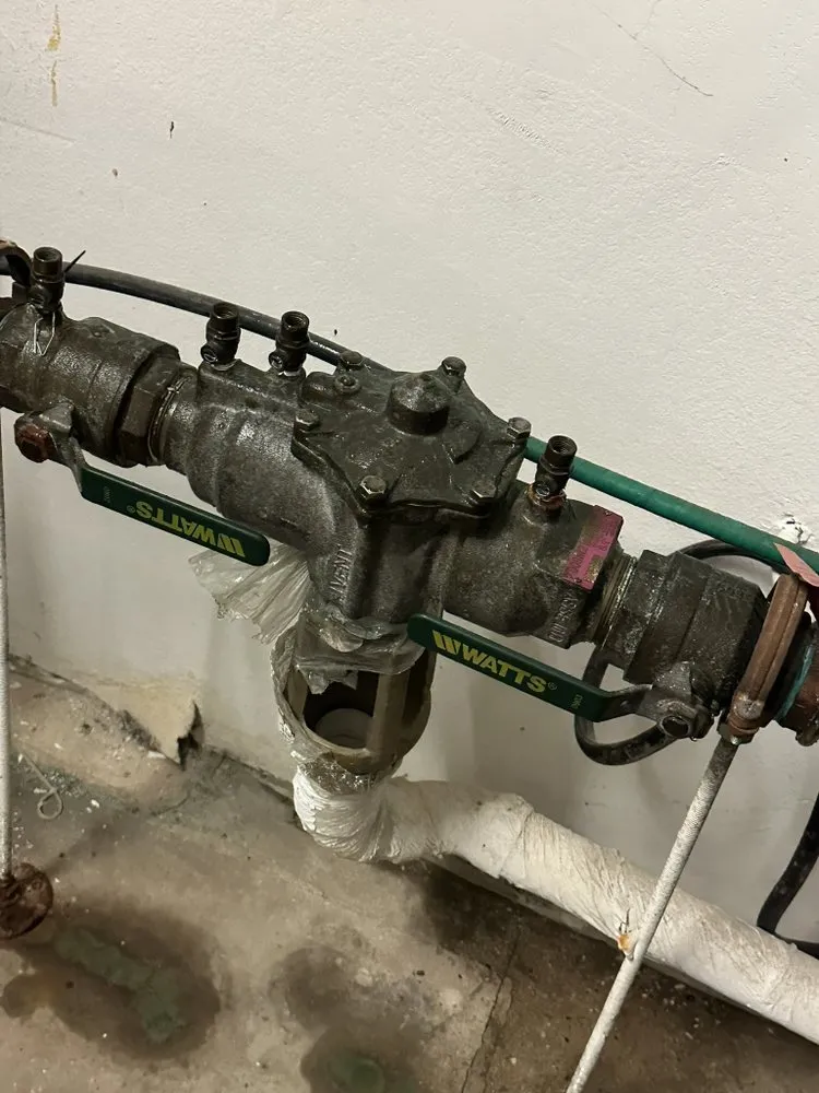 Slide of Forward Flow Backflow