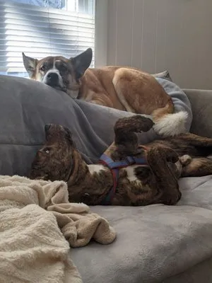 Foster Plumbing & Heating