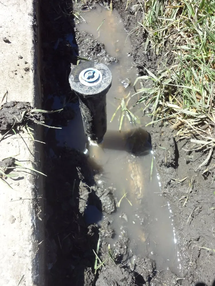 Slide of Four Seasons Construction Landscaping