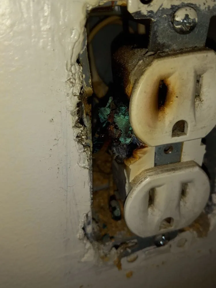 Slide of Four Seasons Maintenance