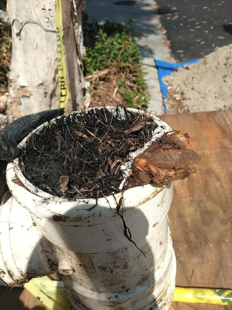 Slide of Four Star Plumbing