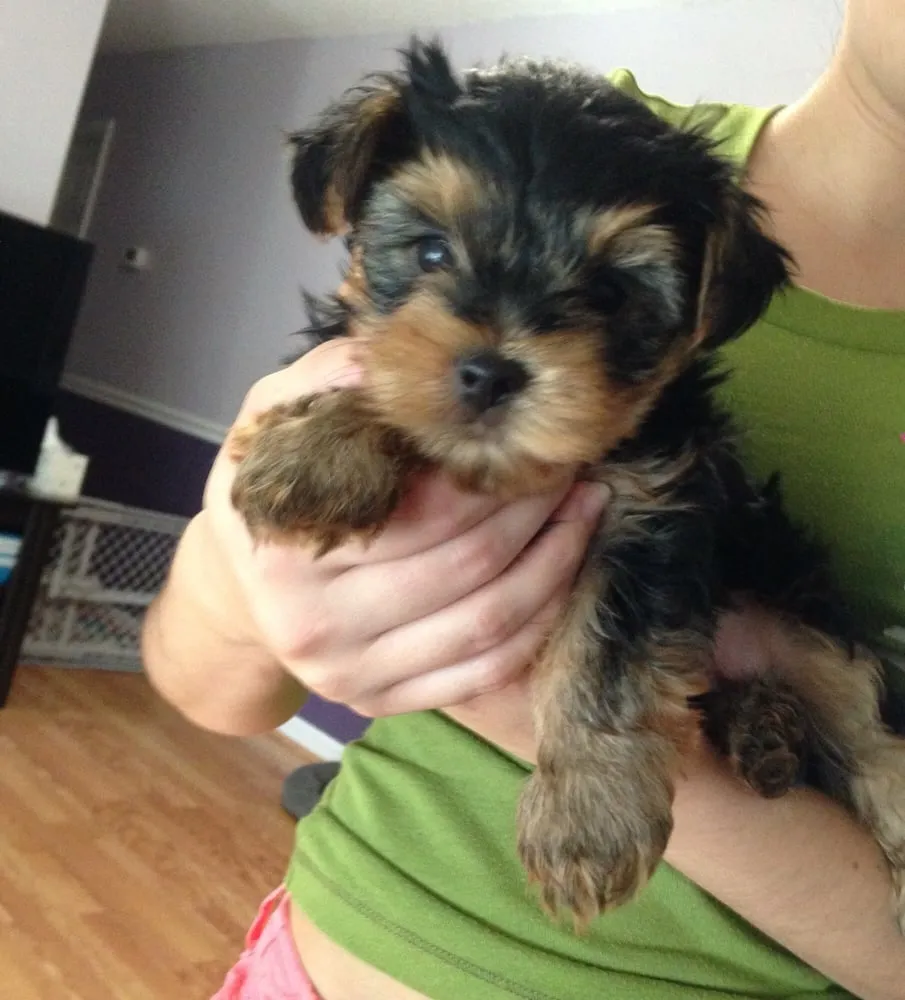 Slide of Four Towns Plumbing