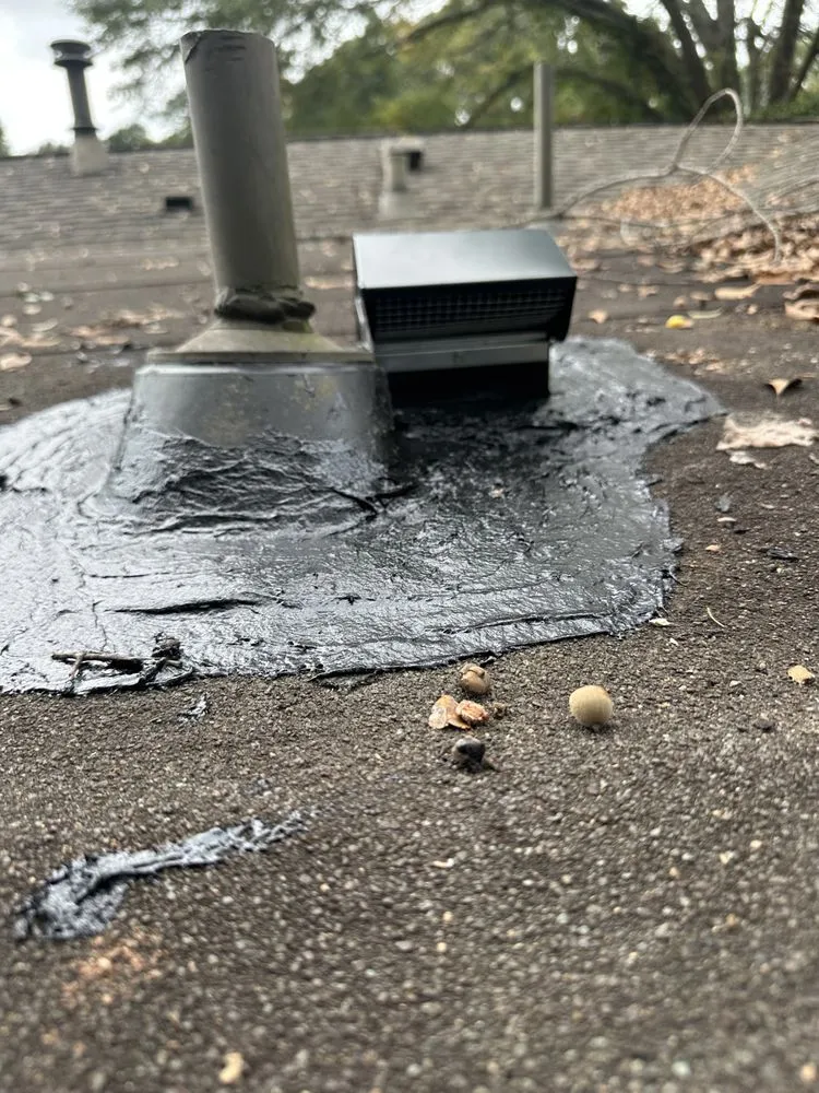 Slide of Fowlin Fix It