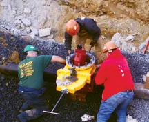 Slide of Fox Tapping