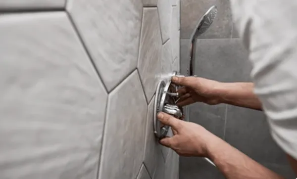 Francis Dwyer Master Plumber