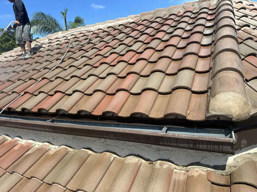 Slide of Francisco Handyman