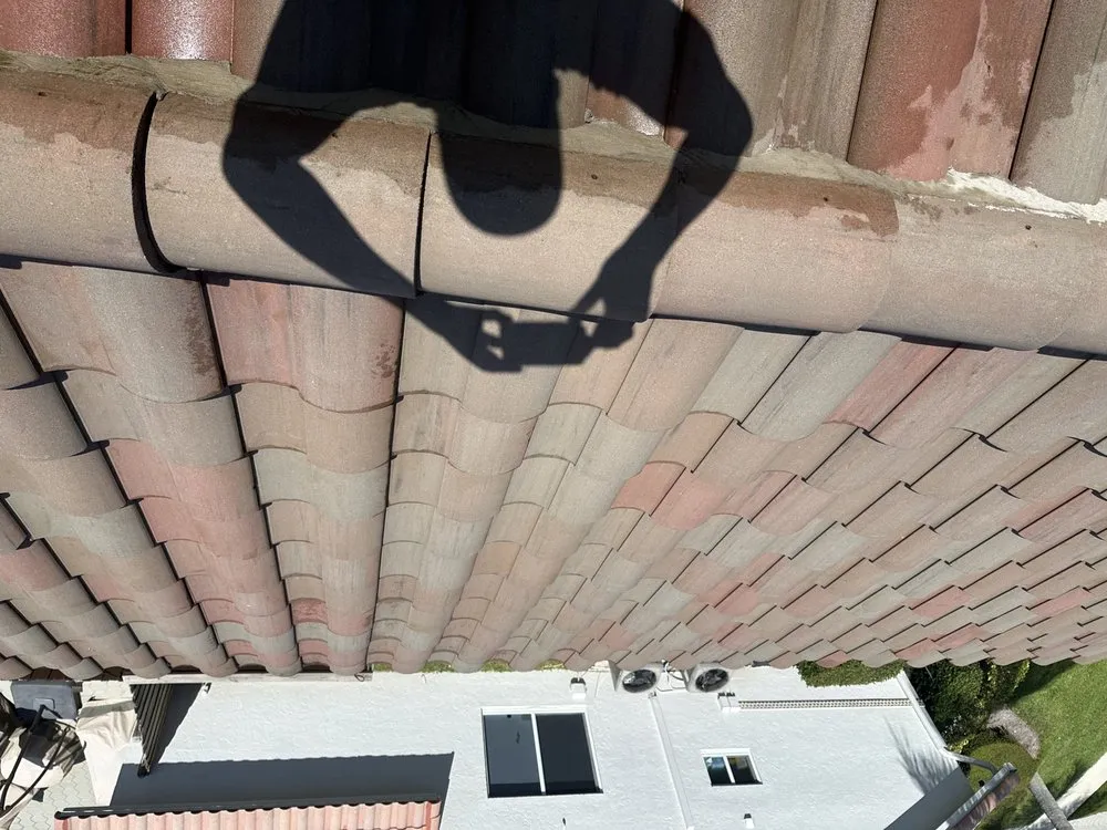 Slide of Francisco Handyman