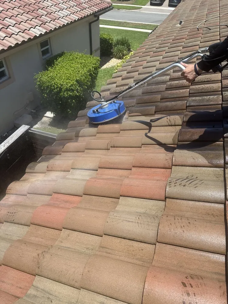 Slide of Francisco Handyman