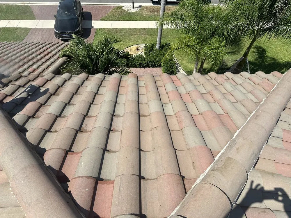 Slide of Francisco Handyman