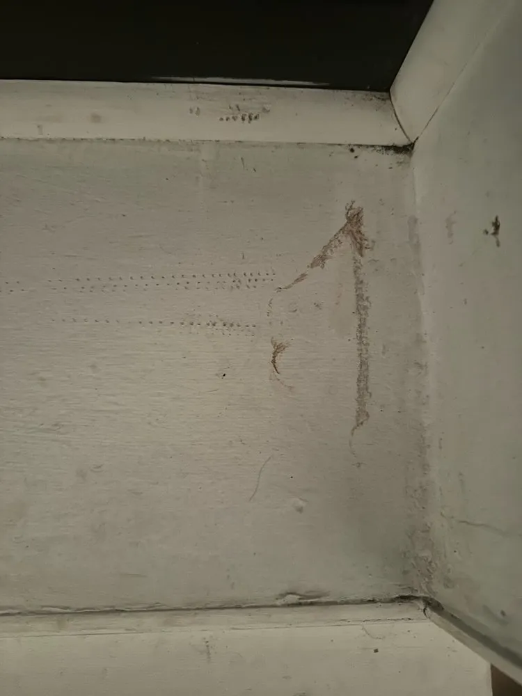 Slide of Franco Belli Plumbing & Heating & Sons