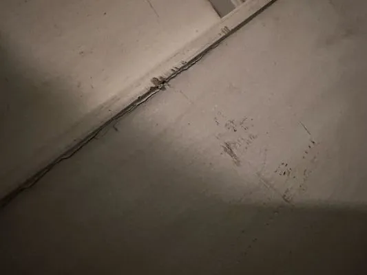 Franco Belli Plumbing & Heating & Sons Logo