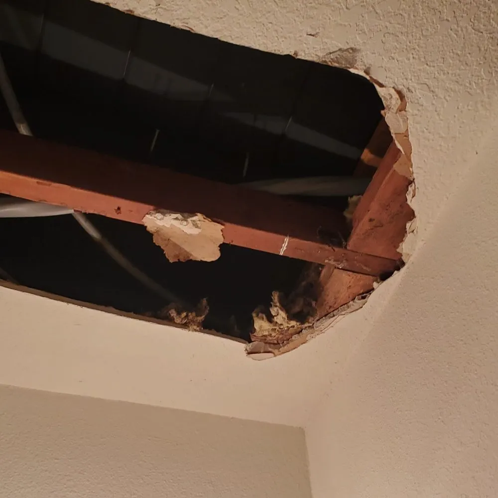 Slide of Frank Gay Services