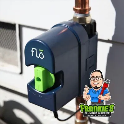 Frankie's Plumbing & Repipe Logo