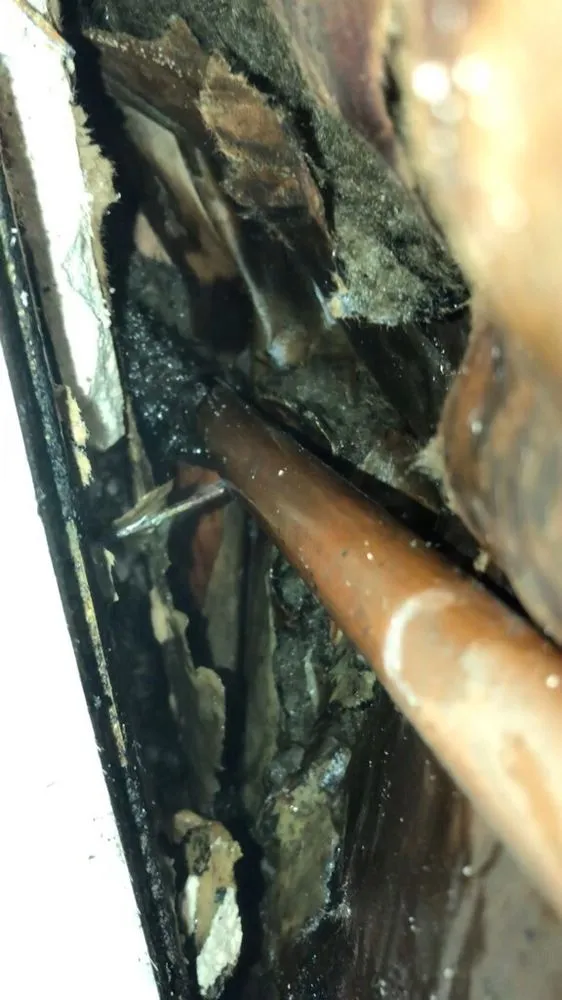 Slide of Frank's Plumbing