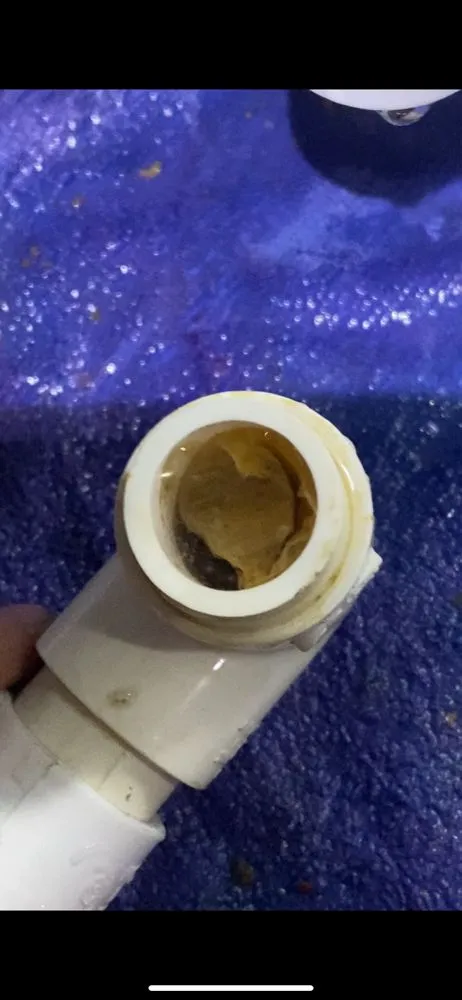 Slide of Franks Simple Services