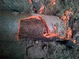 Quality drain cleaning in Long Beach, CA by Frans Plumbing