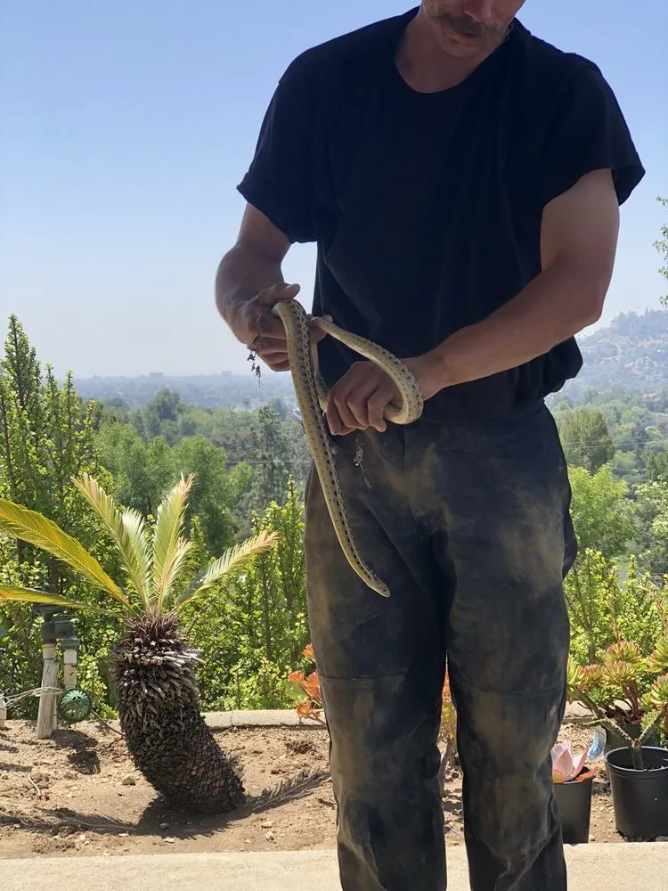 Slide of Frassica Plumbing