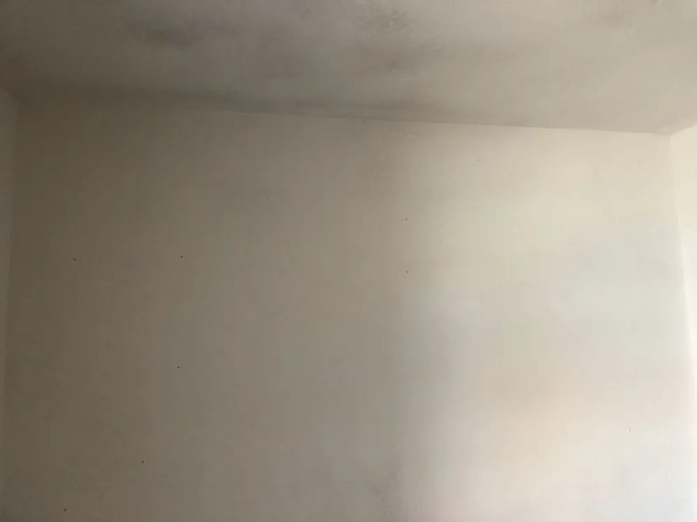 Emergency leak detection in McCamey, TX by Fraziers Construction