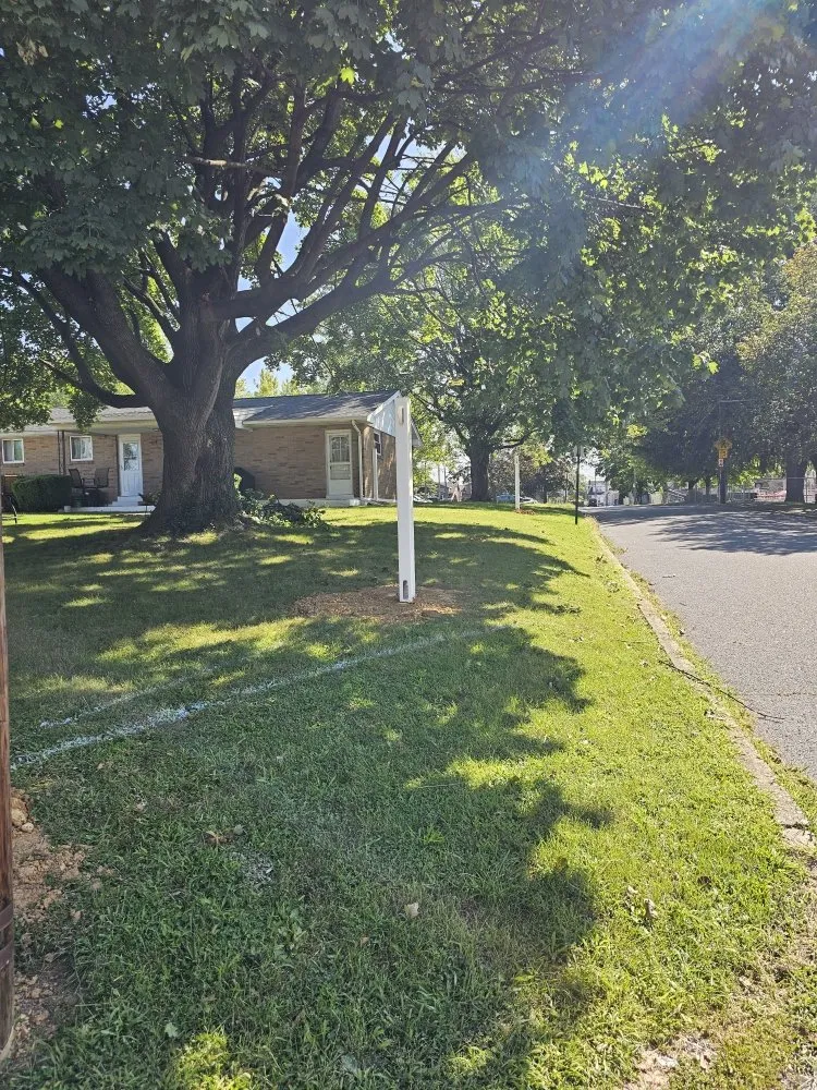 Slide of Frconstruction