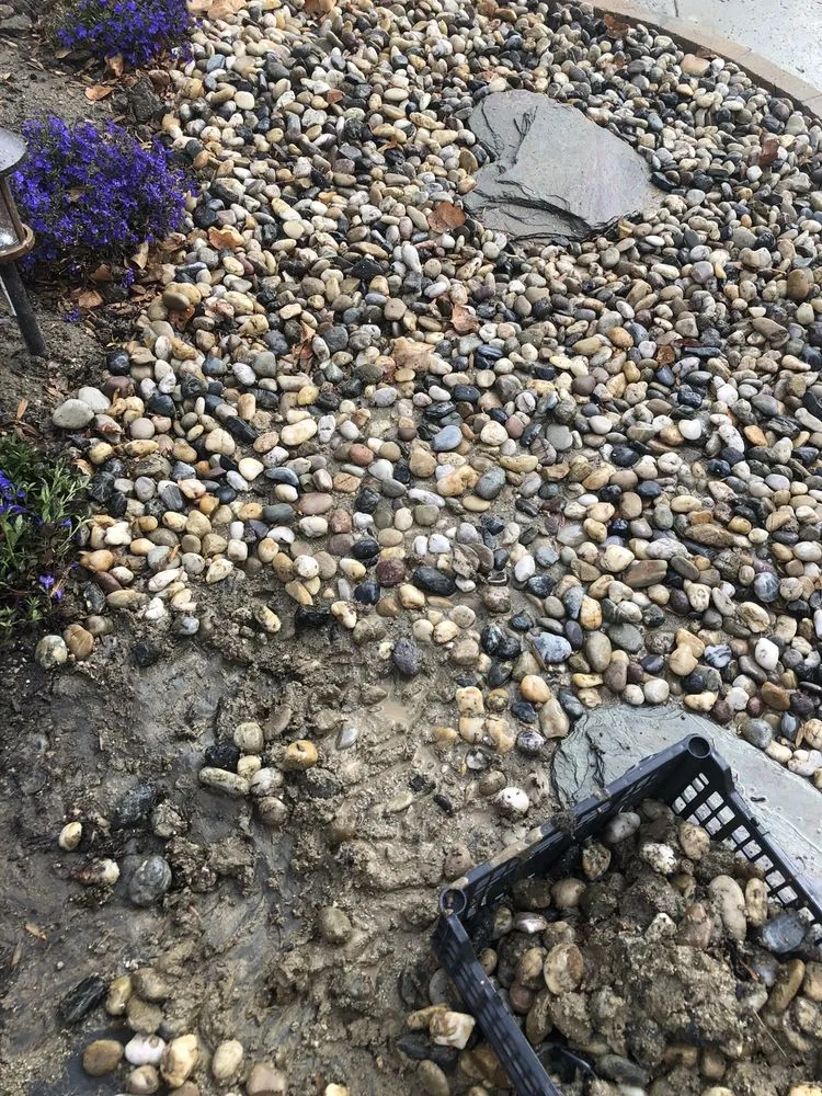 Slide of Fred & Sons Plumbing And Drain