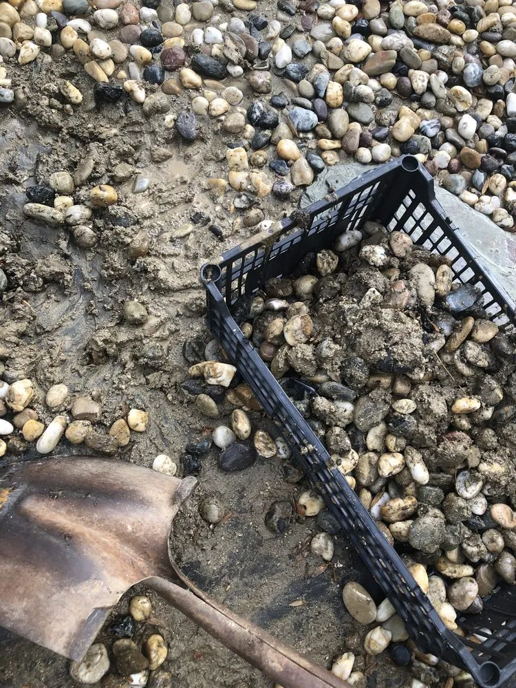 Top-rated plumbing repair service in Bloomington, CA - Fred & Sons Plumbing And Drain