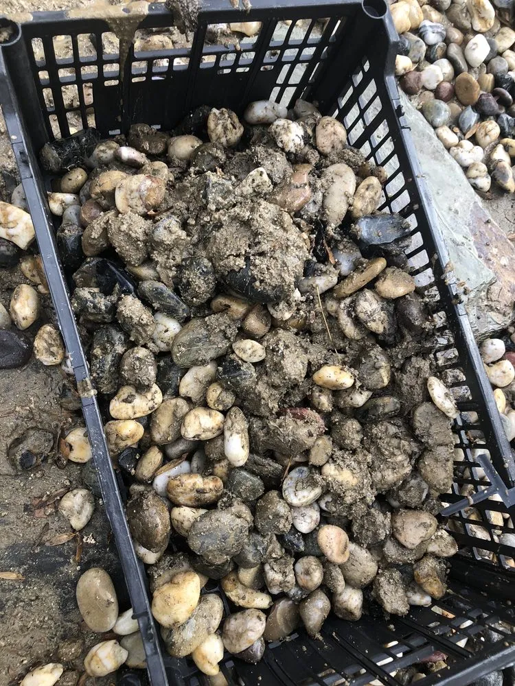 Slide of Fred & Sons Plumbing And Drain