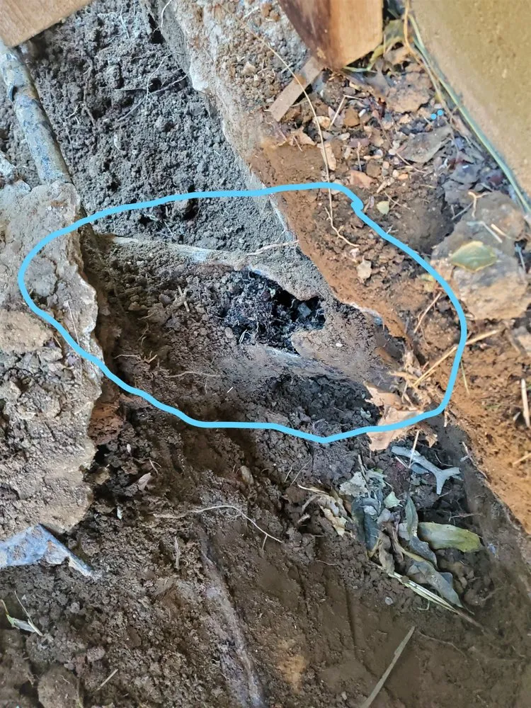 Slide of Fred & Sons Plumbing And Drain