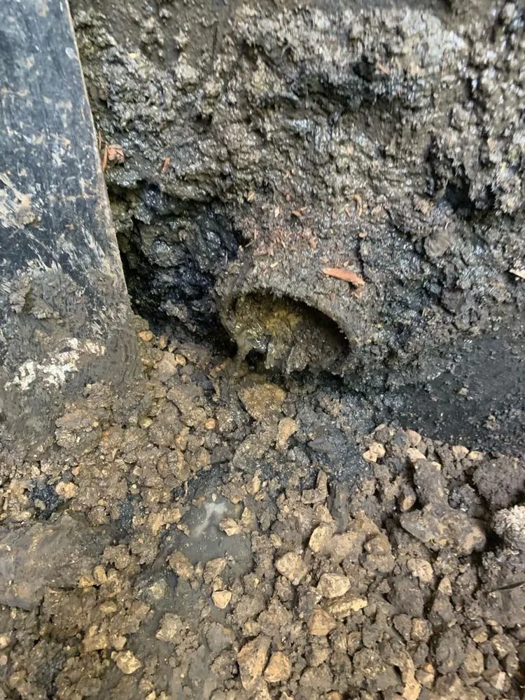 Slide of Fred & Sons Plumbing Sewer