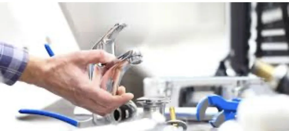 Slide of Fred L Webster