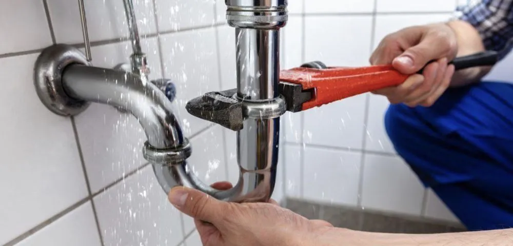 Slide of Fred L Webster