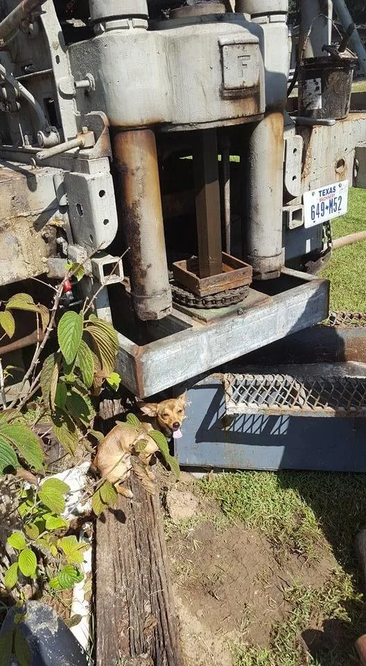 Slide of Fred Paskell Well Service & Pump Repair