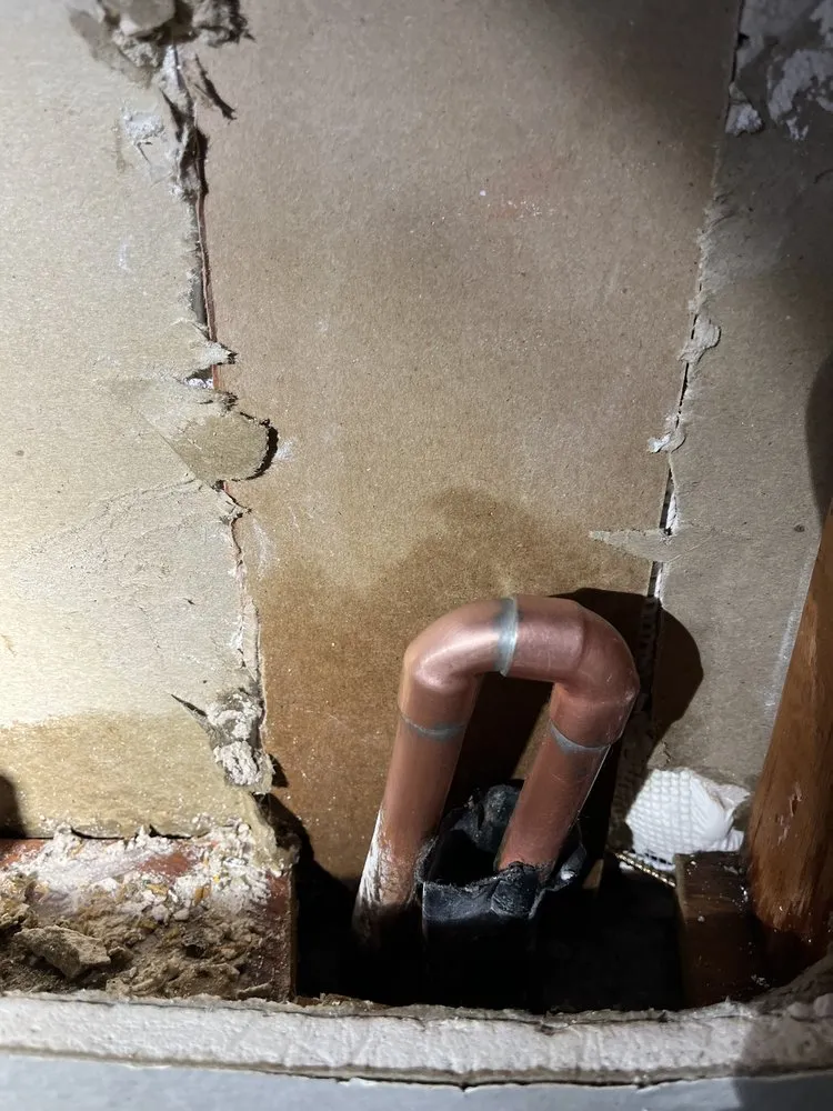 Slide of Freddy’s Fox Rooter