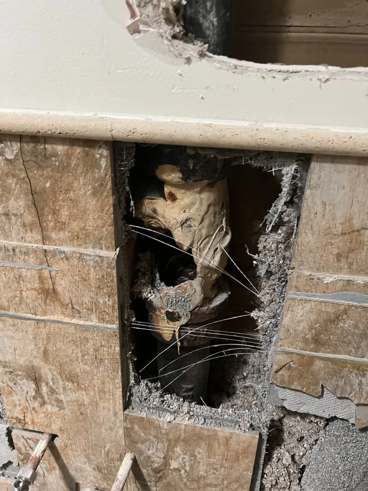 Slide of Freddy’s Fox Rooter