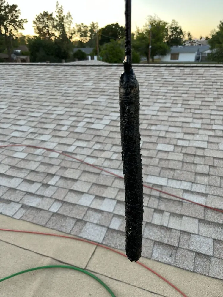 Slide of Freddy’s Fox Rooter